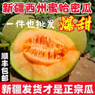 正宗新疆哈密瓜西州蜜25号新鲜水果应季现摘甜瓜网纹新疆直发代发