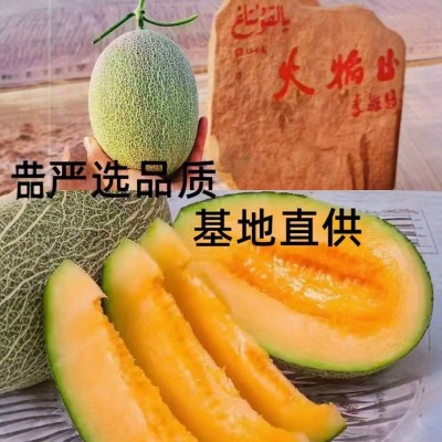 正宗新疆哈密瓜西州蜜25号新鲜水果应季现摘甜瓜网纹新疆直发代发图4