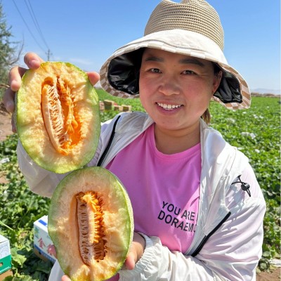 正宗新疆哈密瓜西州蜜25号新鲜水果应季现摘甜瓜网纹新疆直发代发图2