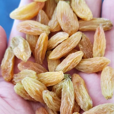 新疆特产树上黄葡萄干吐鲁番大黄提子干孕妇吃办公室零食农家500g图4