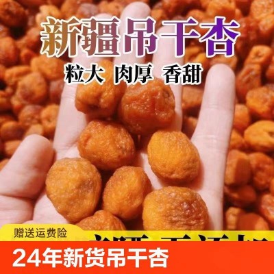 新货一级四团吊干杏新疆特产树上干杏无添加剂伊犁杏干新鲜