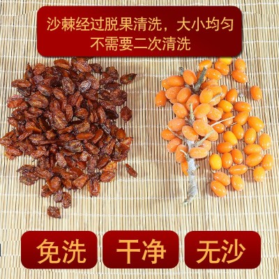 沙棘果 新疆沙棘果干特产干果新货新鲜果干500批发图3