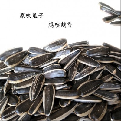 傻老大农庄原味瓜子500克/袋新疆特产阿勒泰瓜子炒货葵花籽包邮  2袋图3