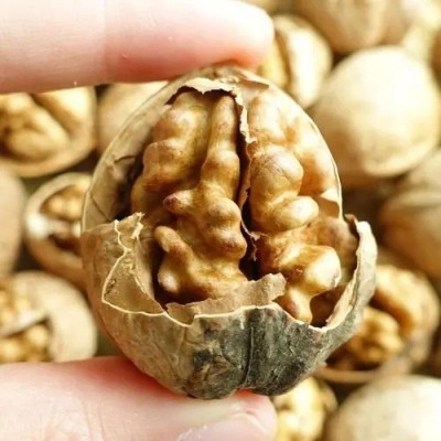 新疆包邮特产新疆阿克苏特产185纸皮核桃5斤批发零售产地货源直供  2包