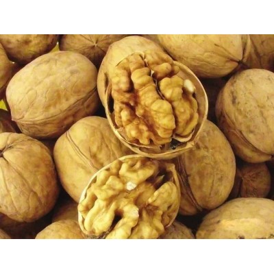 新疆包邮特产新疆阿克苏特产185纸皮核桃5斤批发零售产地货源直供  2包图4