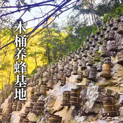 新疆厂家批发百花土蜂蜜纯正农家自产百花蜜黑蜂蜜天然蜂蜜代发   2斤图3