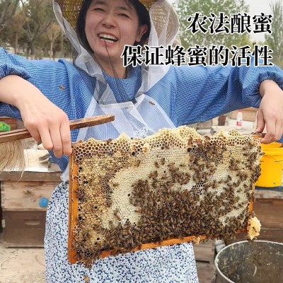 新疆归农黑蜂蜜 农家自产纯正成熟蜂蜜 天然黑蜂结晶蜂蜜一件代发   2瓶图4