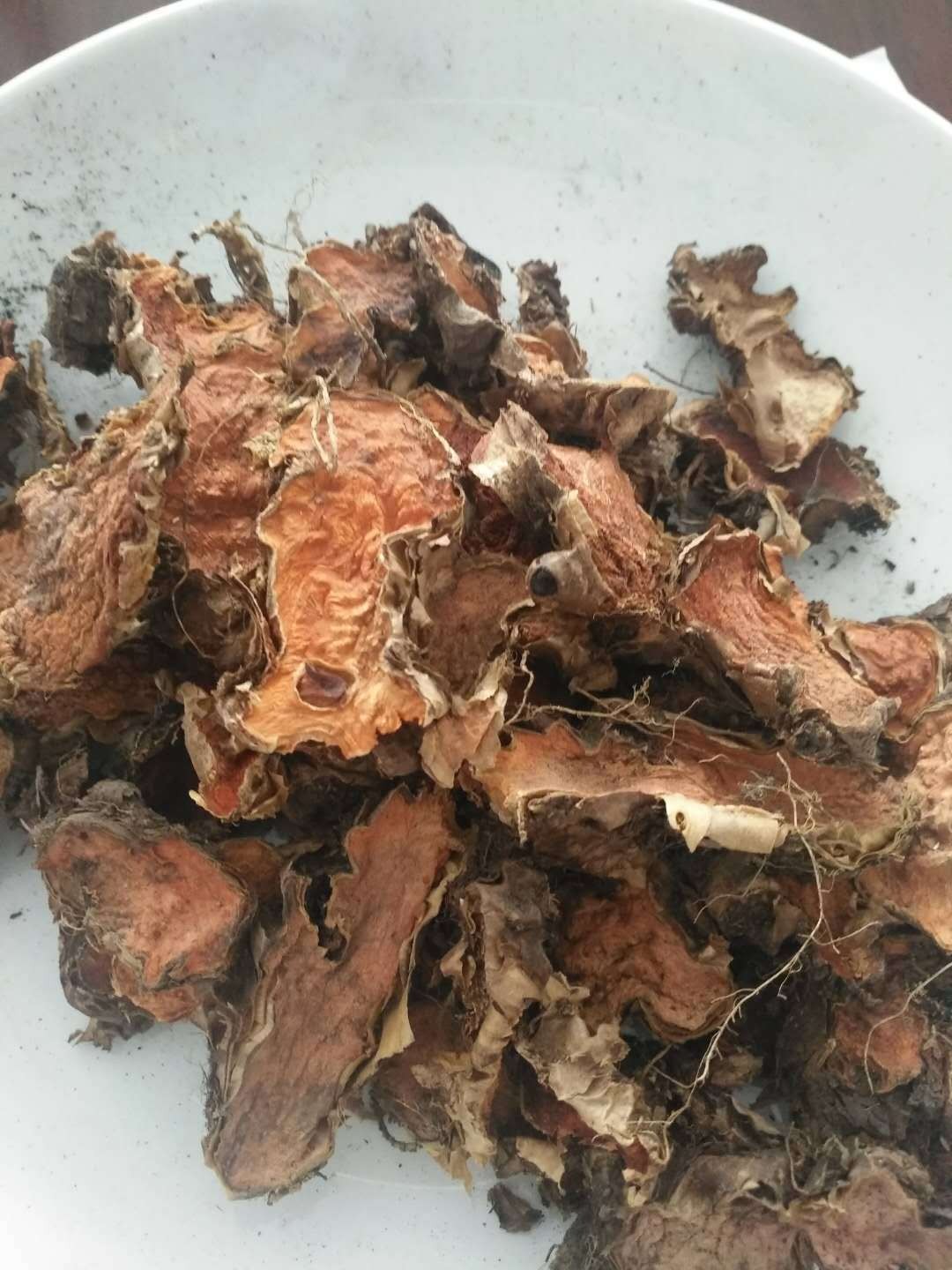 新疆 玫瑰红景天 新疆 玫瑰红景天