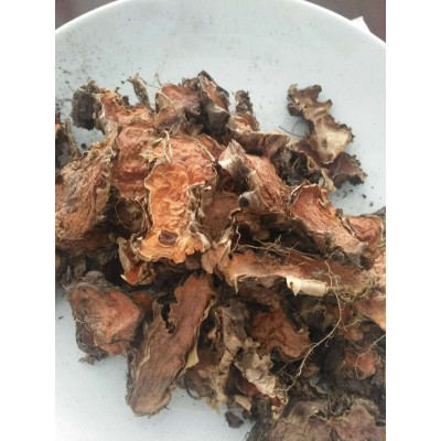 新疆 玫瑰红景天