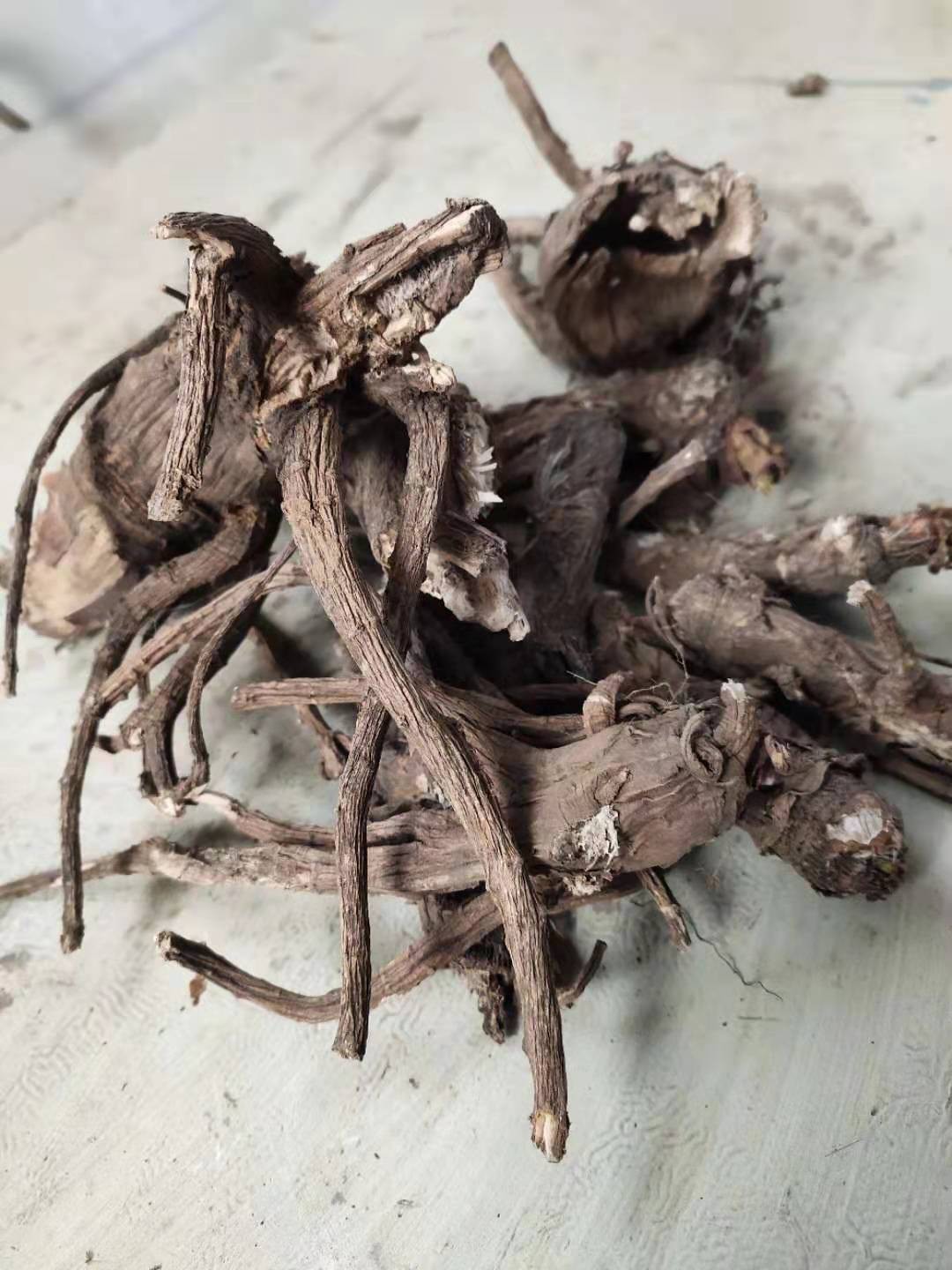 新疆 走马芹 新疆 走马芹