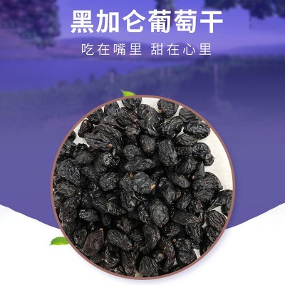 厂家现货黑加仑葡萄干黑提子干 黑加仑10KG整箱批发一件代发   20斤