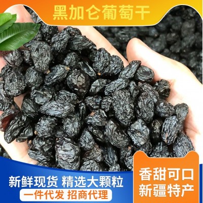 厂家现货黑加仑葡萄干黑提子干 黑加仑10KG整箱批发一件代发   20斤图2