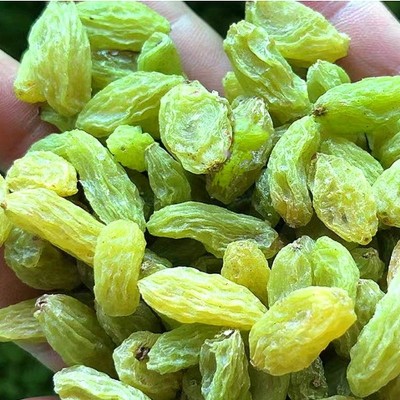 新疆绿提子葡萄干大量批发散装零食烘焙商用大颗粒无核提子干   20斤图4
