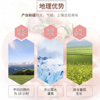 利疆红番茄酱3kg饭店工厂均适用美味健康营养丰富口感佳   2桶图5