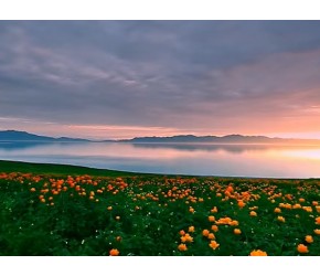 实拍新疆赛里木湖原生态美景，碧水蓝天花海宛如仙境